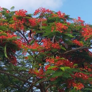 Meet your Posher, Hue